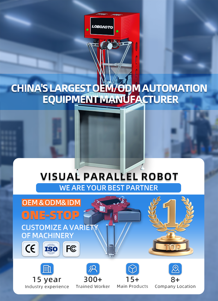 Visual Parallel Sorting Robot Presentation 1
