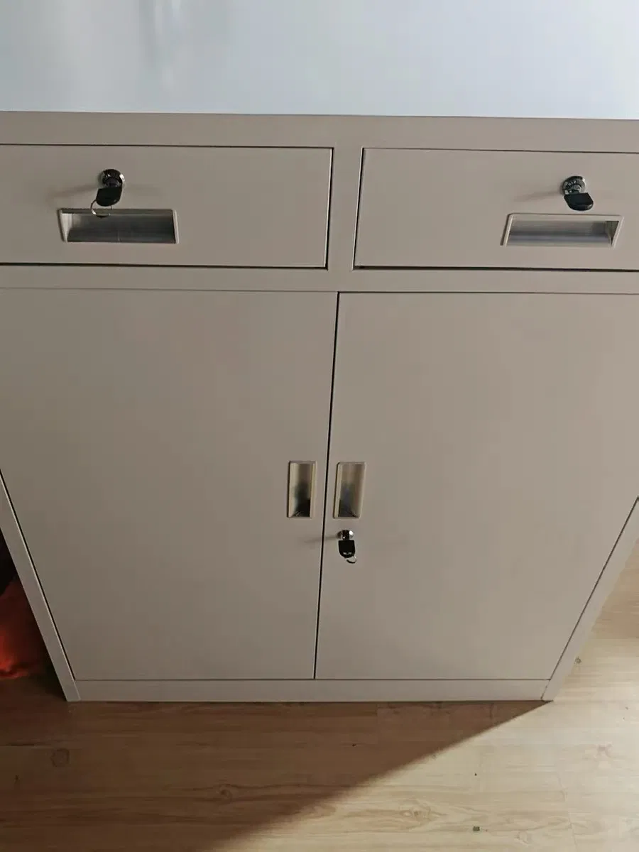 OEM High-Quality Steel File Cabinet with Adjustable Shelves for Organized Document Storage