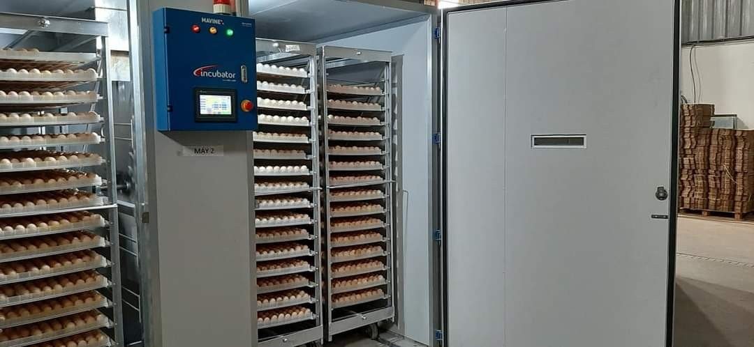 Product view 1