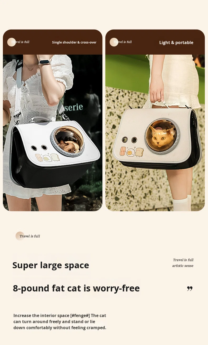 Pet Carrier Scene 4