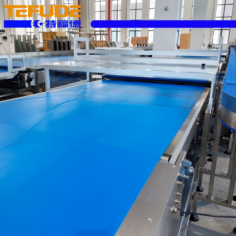 Tefude Fully Automatic Sorting Feeding Packing Line for Biscuit Snack Flow Packaging