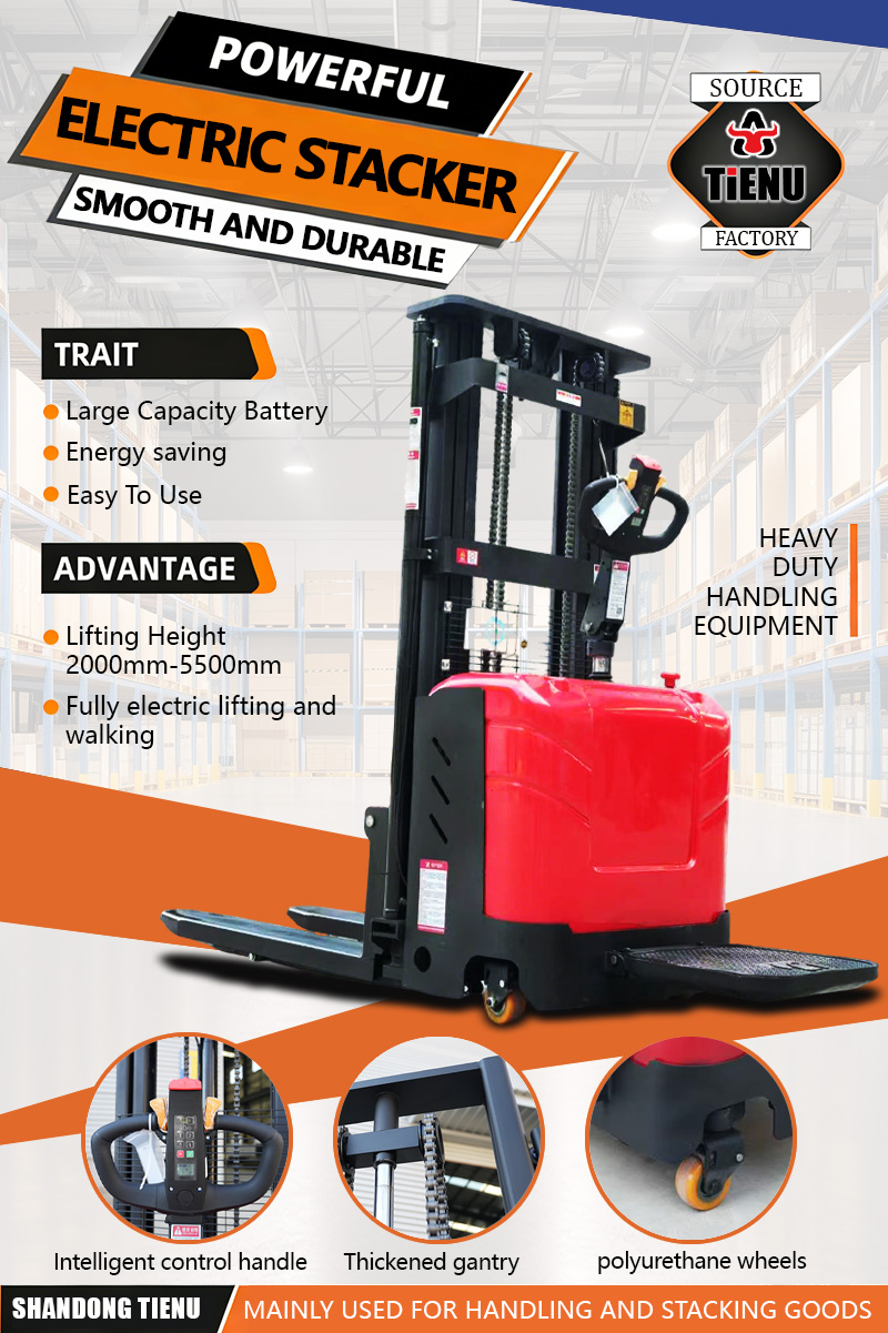 Electric Forklift Details 1