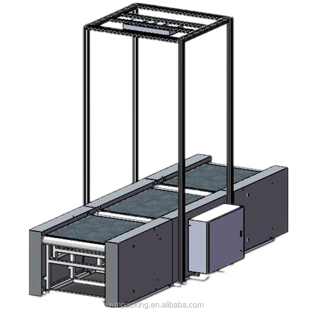 Customized Intelligent Sorting System with DWS Automated Logistics Solution for Warehouse Parcel Distribution