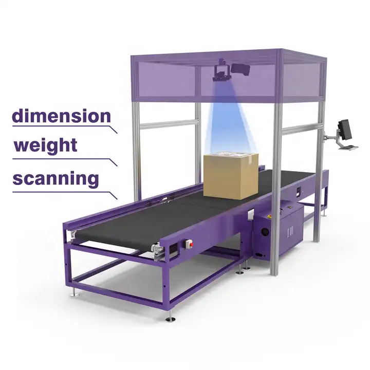 Customized Intelligent Sorting System with DWS Automated Logistics Solution for Warehouse Parcel Distribution