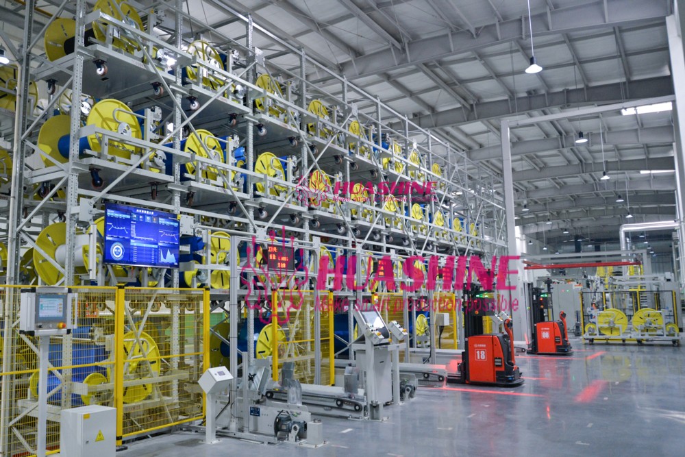 ASRS with RGV Shuttle System