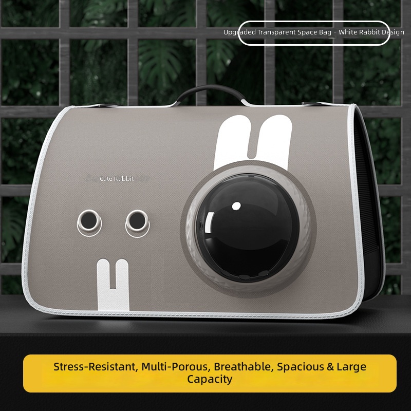 Pet Carrier Scene 11