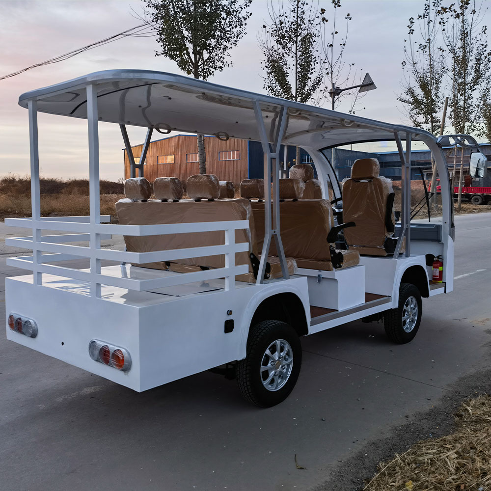 Factory Directly Supply Chinese Electric Cartoon Sightseeing Bus Coach with Variety of Cartoon Appearances 8-Passenger 30km/h