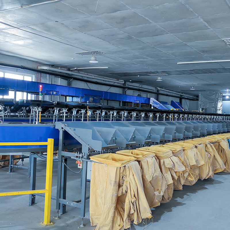 Smart Reversible Express Delivery Sorting Machine Compatible Large Small Items Highly Efficient Fully Automatic Logistics System