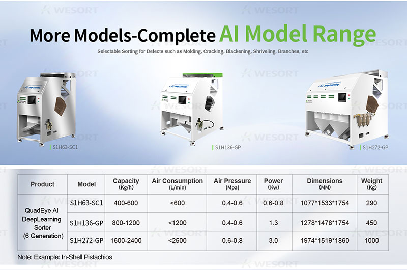 Nut seeds color sorter view 5