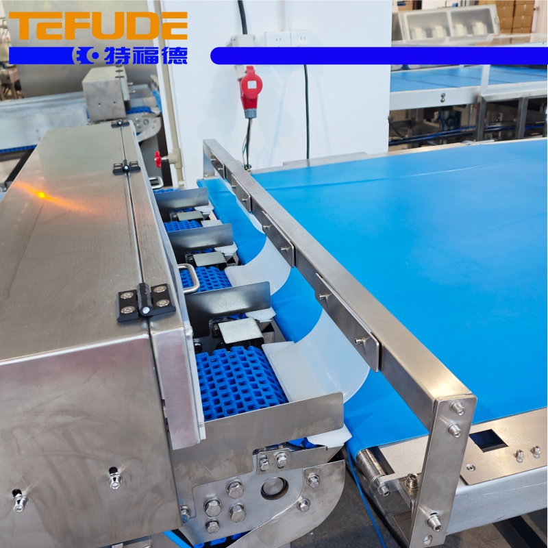 Tefude Fully Automatic Sorting Feeding Packing Line for Biscuit Snack Flow Packaging