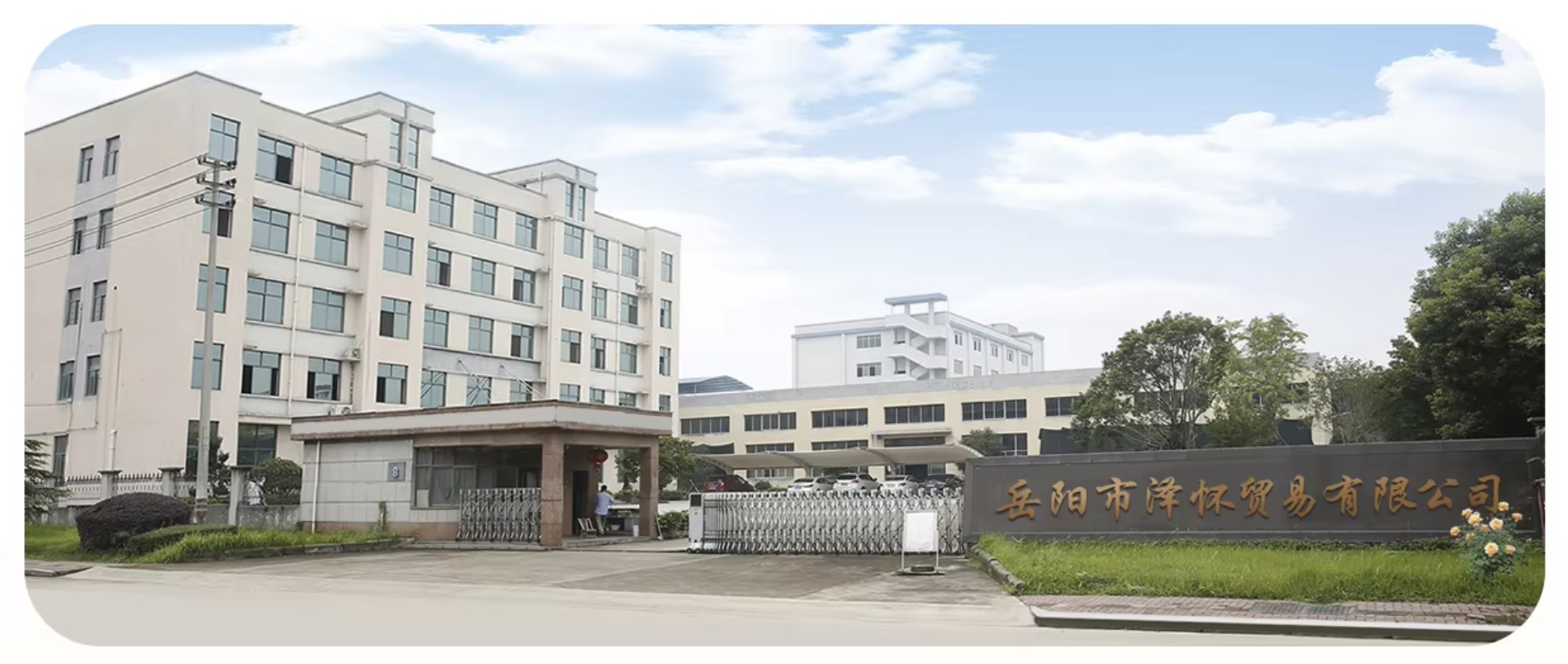 Company Profile View 1