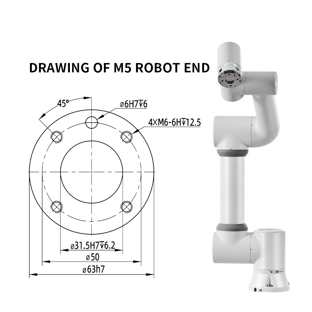 Chinese Factory 6 Axis Collaborative Robot Arm Pallet Mover Multifunctional Cobot Manipulator with Core Motor PLC Components