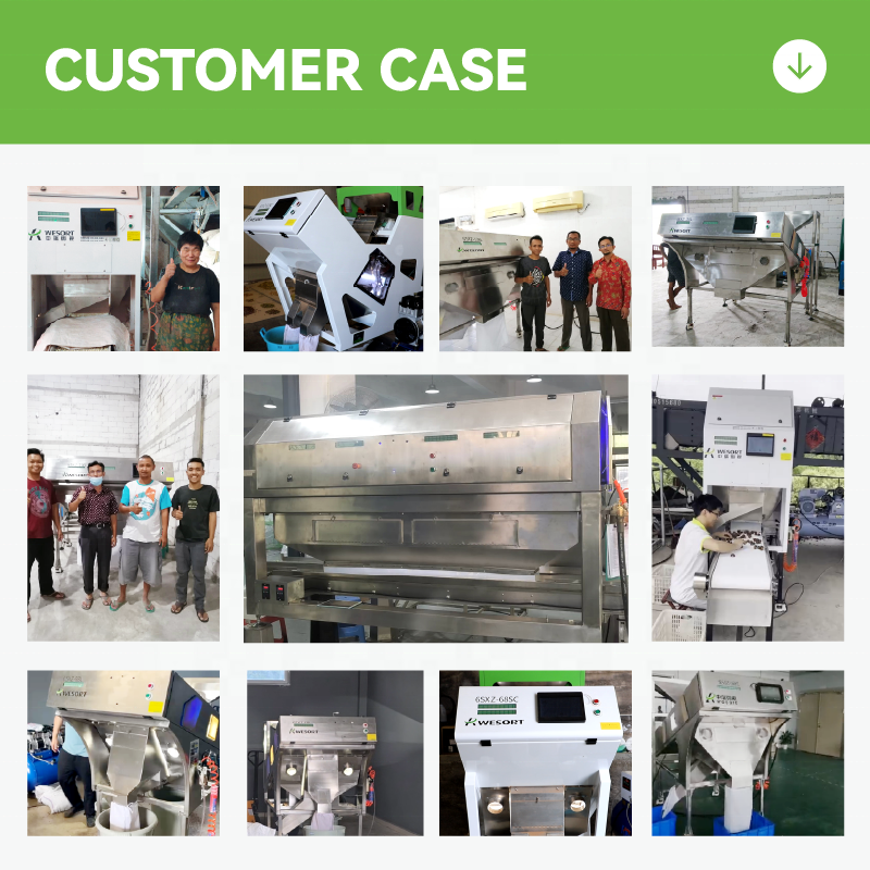 Automated Optical Nut/Seed Sorter Line | AI-Powered 500-4000kg/h Defect Removal for Roasted Coffee Nuts Small Grains