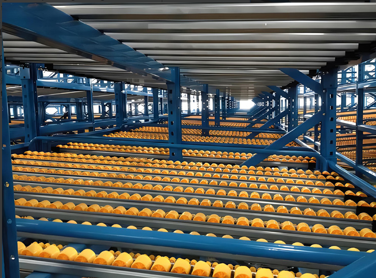 Dynamic Storage Flow Rack