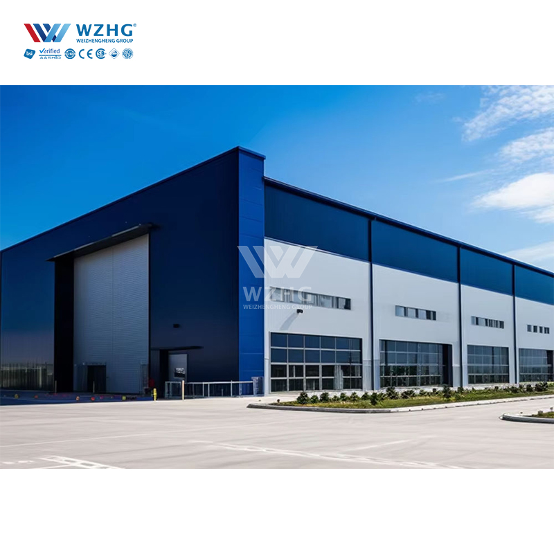 Prefab Steel Structure Warehouse E-Commerce Fulfillment Center Automated Sorting System 50-Year Lifespan 200km/h Wind Load Solid