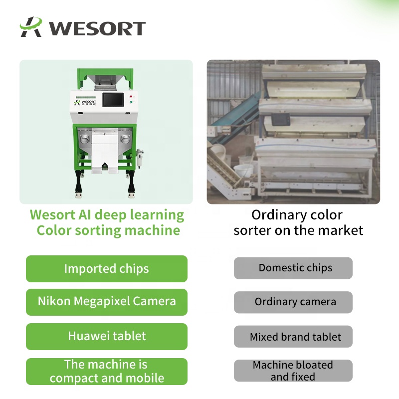 Automated Optical Nut/Seed Sorter Line | AI-Powered 500-4000kg/h Defect Removal for Roasted Coffee Nuts Small Grains