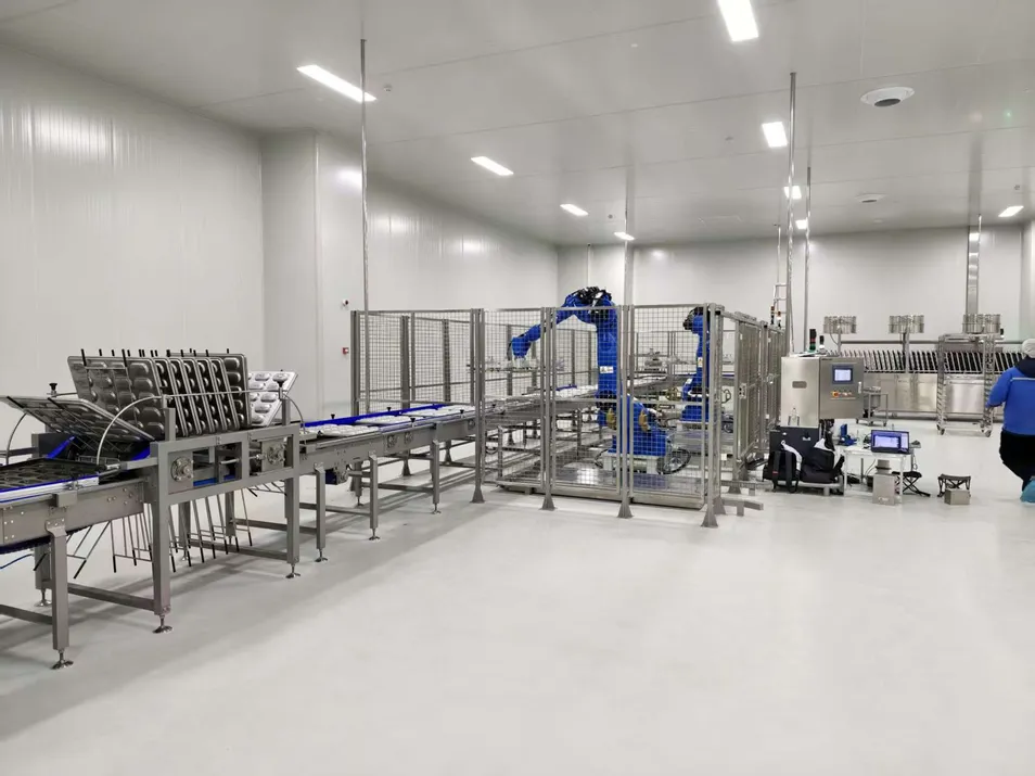 Horizontal Belt Conveyor Production Line with Vibrating Feeder for Uniform Distribution on Belt