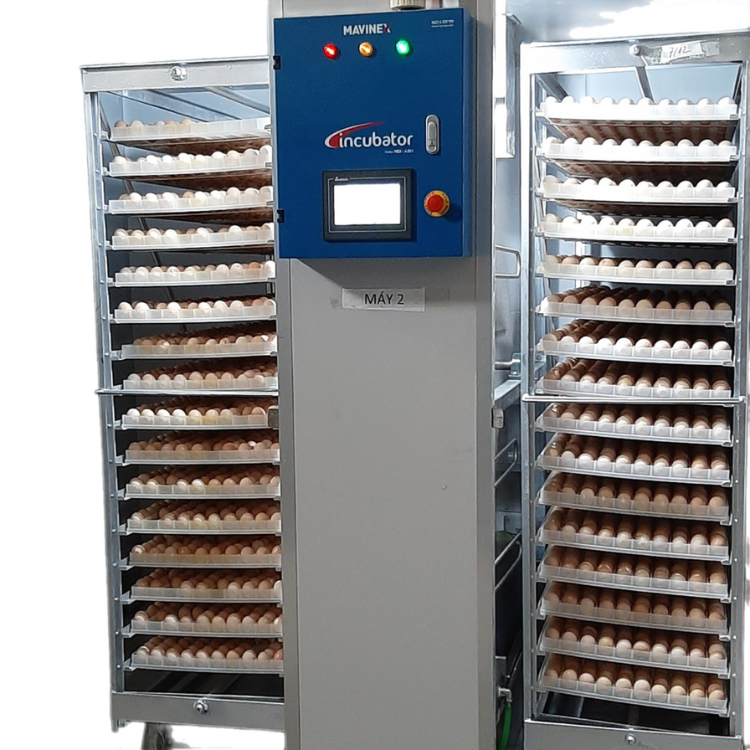 Hot Selling Automatic Chicken Egg Incubator Power Distribution Equipment for Poultry Farming