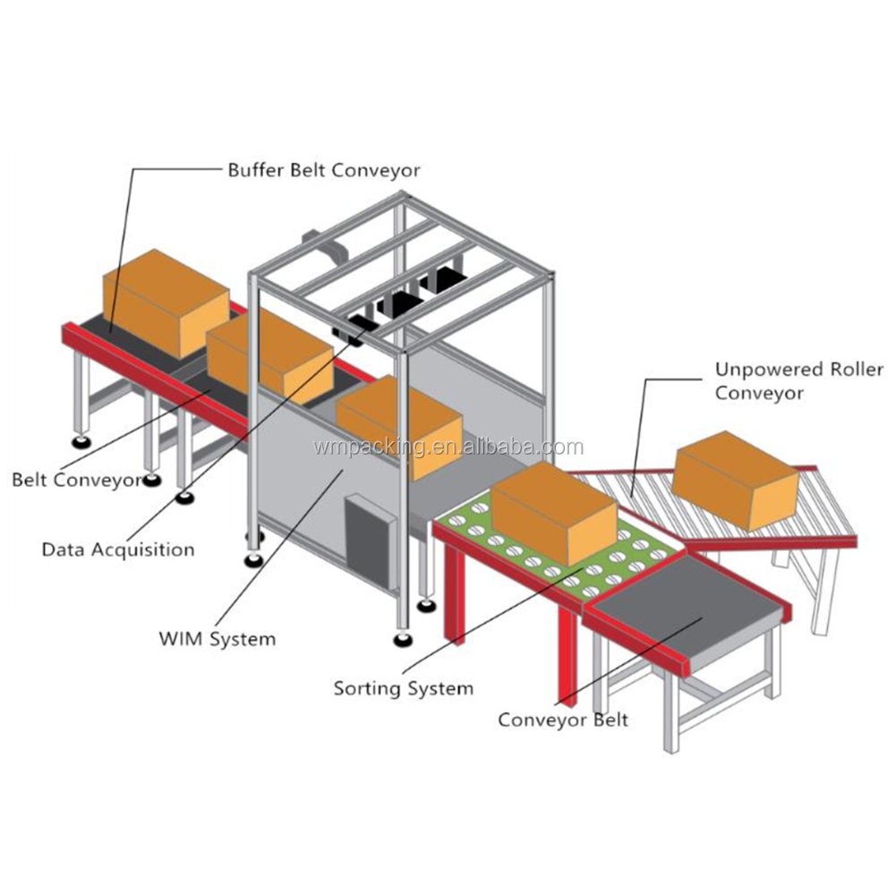 Customized Intelligent Sorting System with DWS Automated Logistics Solution for Warehouse Parcel Distribution
