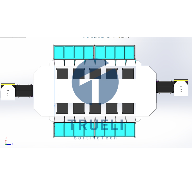 Sorting Process 2