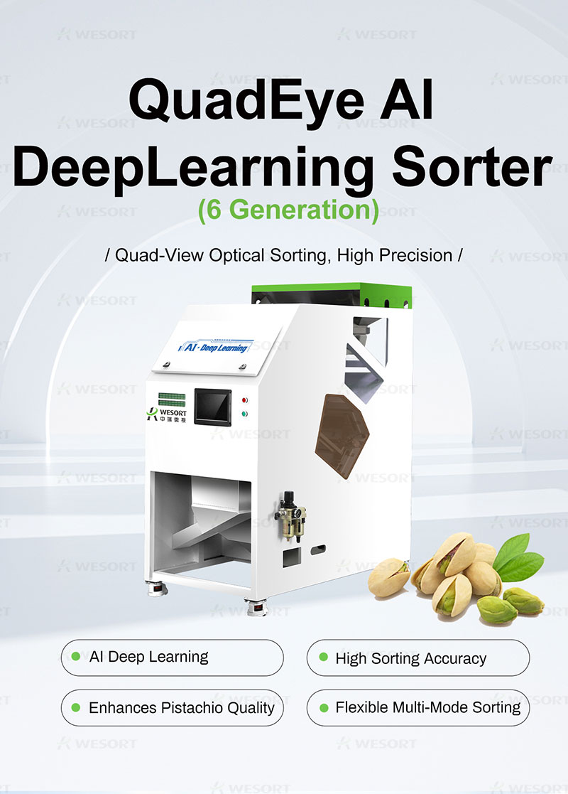 Nut seeds color sorter view 1