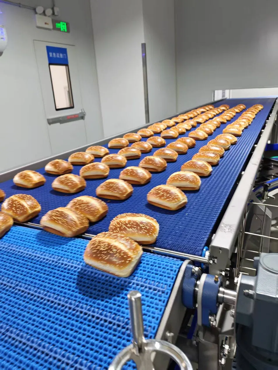 Horizontal Belt Conveyor Production Line with Vibrating Feeder for Uniform Distribution on Belt