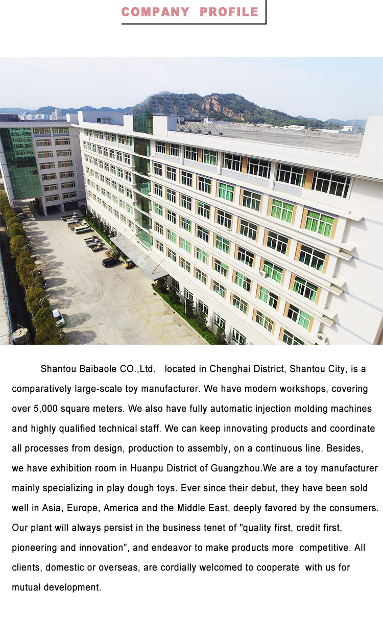 Company Profile