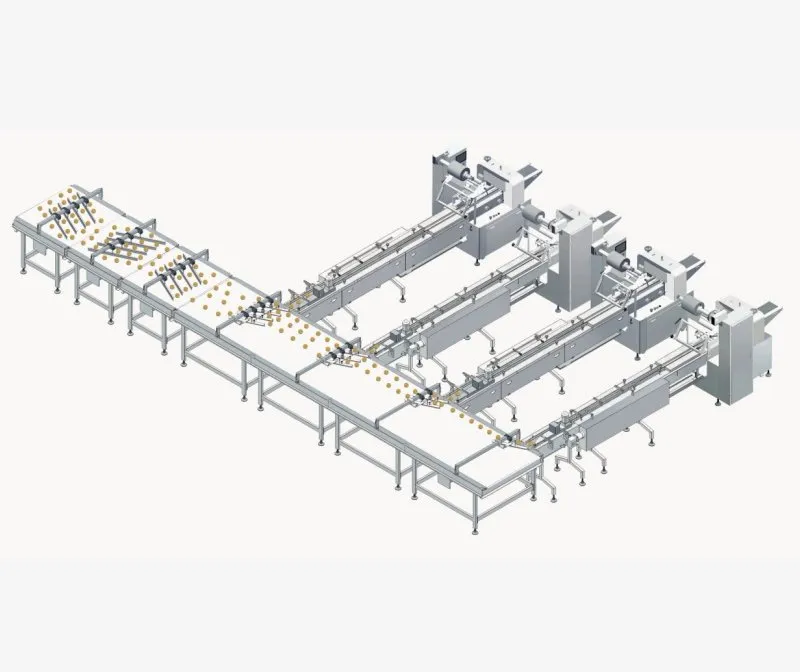 Automatic Sorting Feeding Packing Line