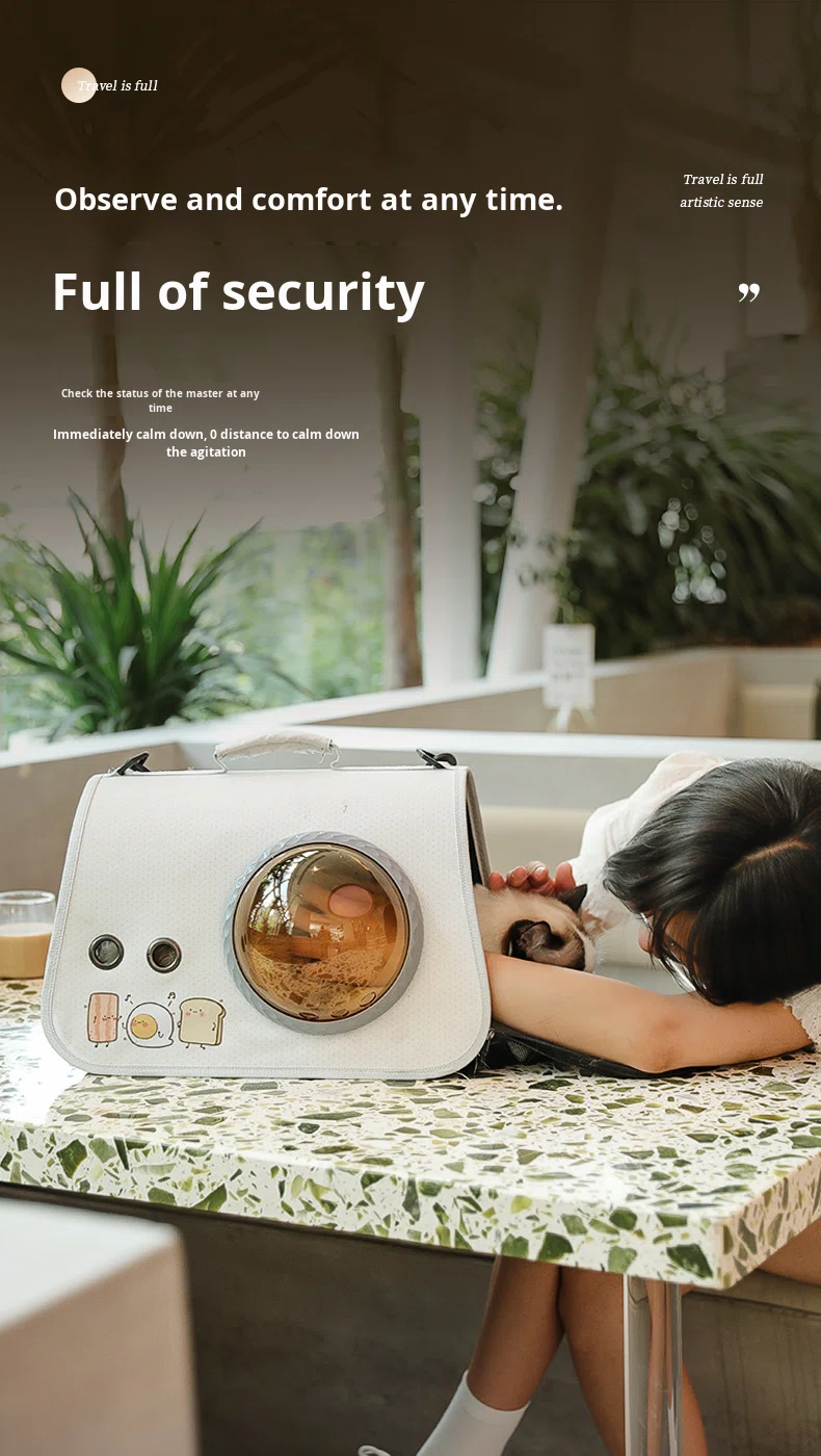 Pet Carrier Scene 2