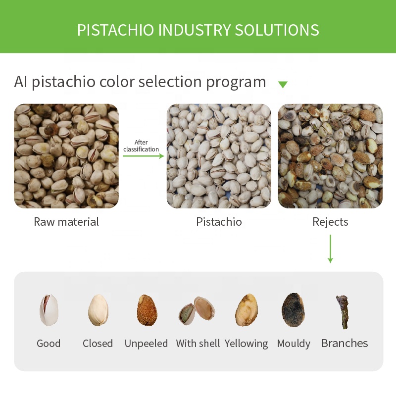 Automated Optical Nut/Seed Sorter Line | AI-Powered 500-4000kg/h Defect Removal for Roasted Coffee Nuts Small Grains