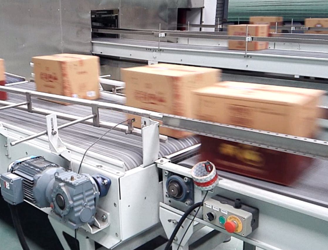 Automated Parcel/Cartons Sorting System