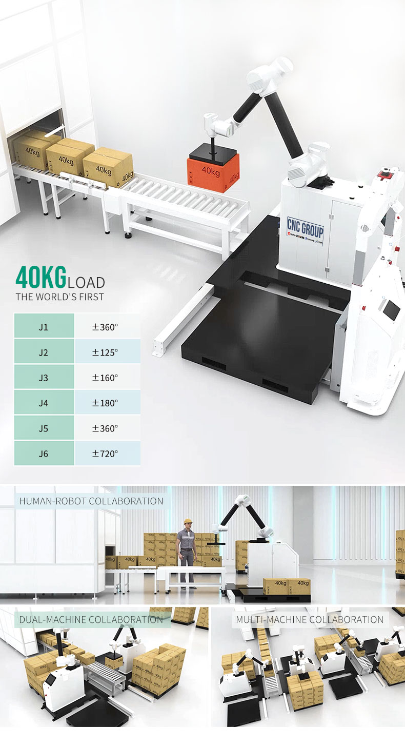 Palletizing Robot View 6