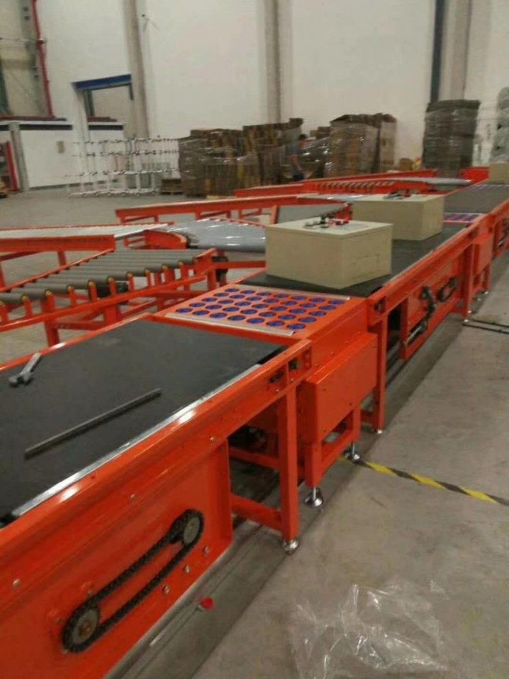 Roller Sorter Conveyor System 3