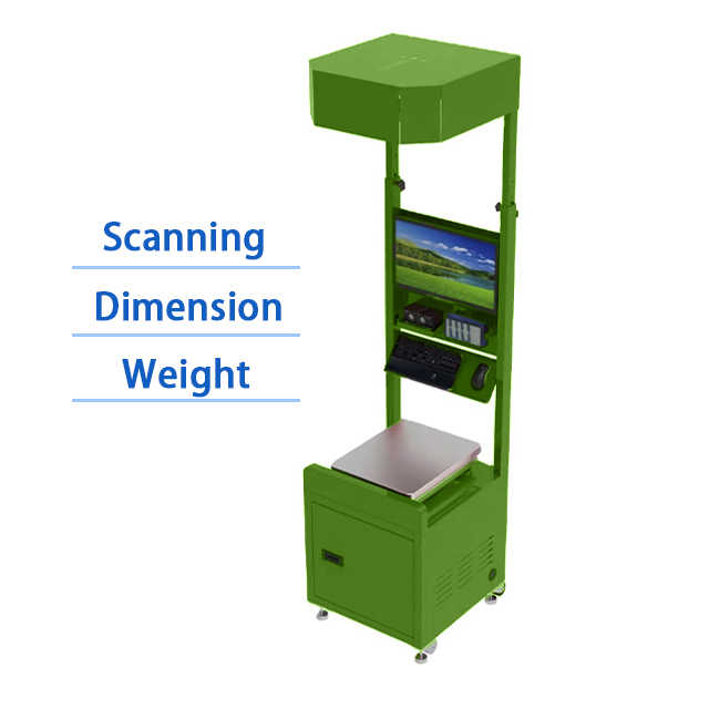 Conveyor Belt Production Line In-Motion Dimension Weigh Scan Machine Corn Screw Conveyor Parcel Sorting System with Dws