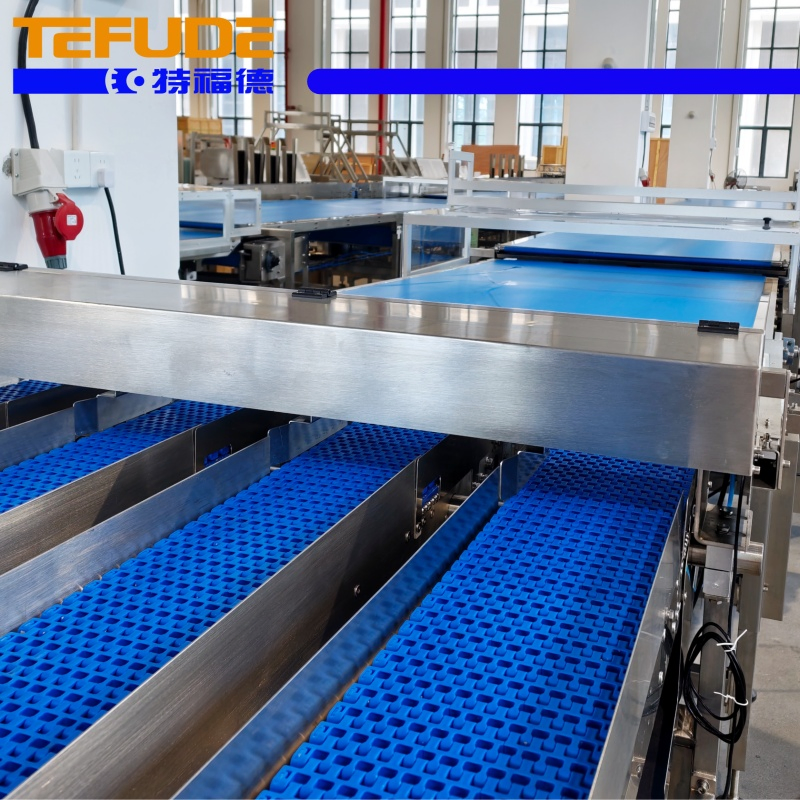 Tefude Fully Automatic Sorting Feeding Packing Line for Biscuit Snack Flow Packaging