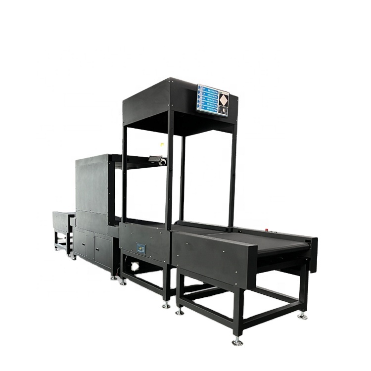 Professional DWS Sorting Assistant System for Cross Border E-commerce Order Fulfillment and Delivery