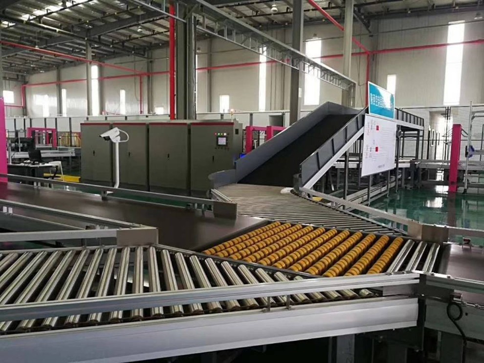 Roller Sorter Conveyor System 1