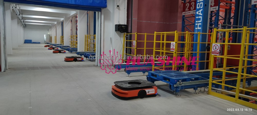 ASRS with RGV Shuttle System