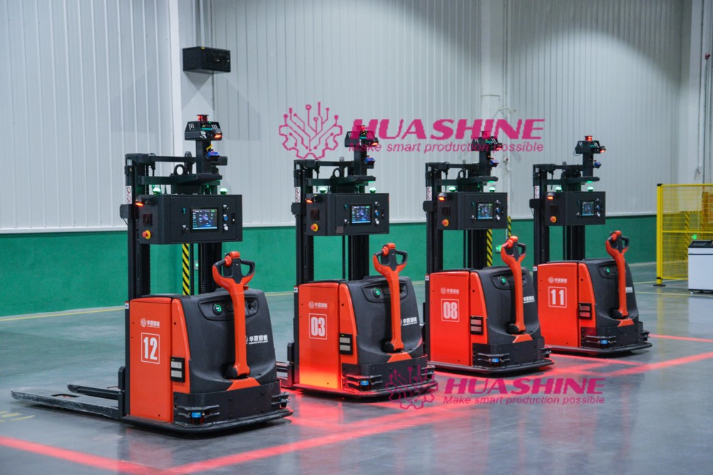 ASRS with RGV Shuttle System