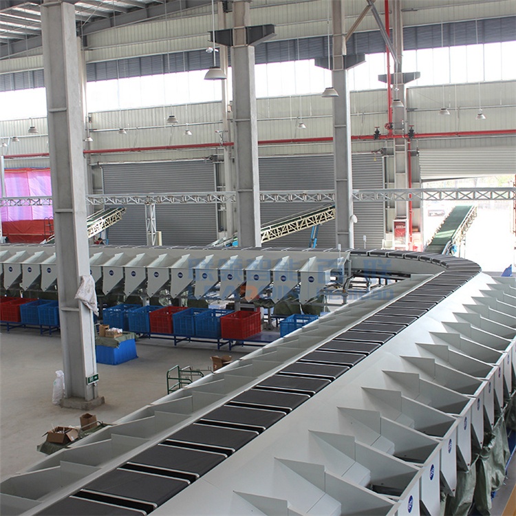 Sortation Automation Manager System Warehouse Conveyor Equipment Associate Sorter Logistica Sorting Machine