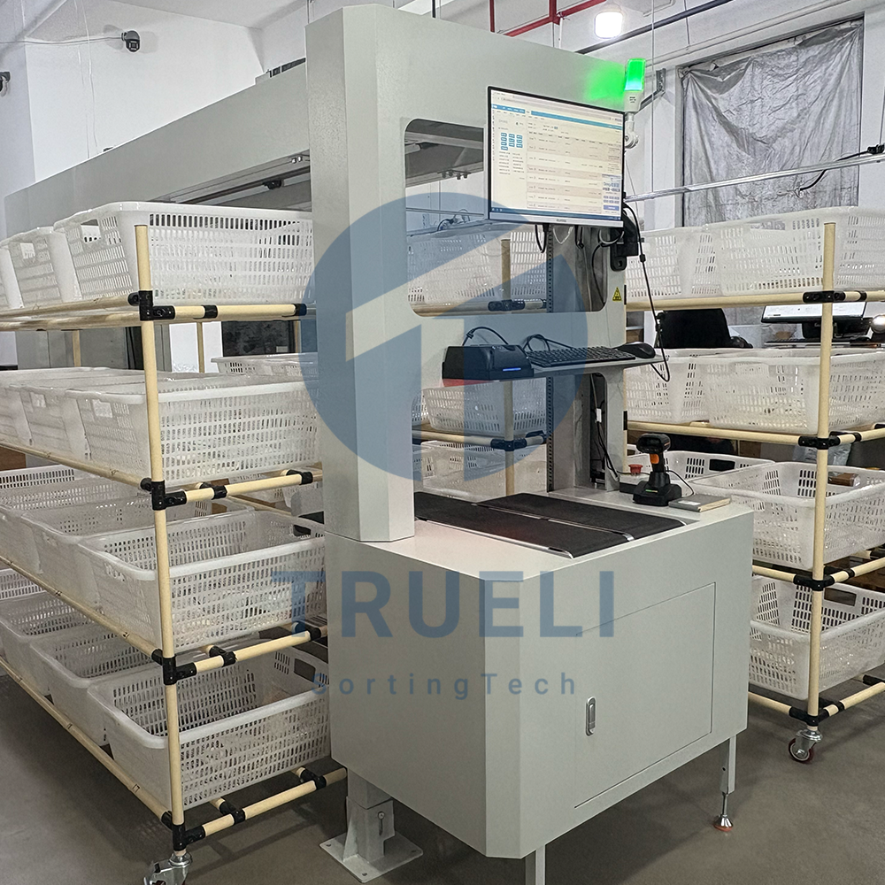 System Feature 2