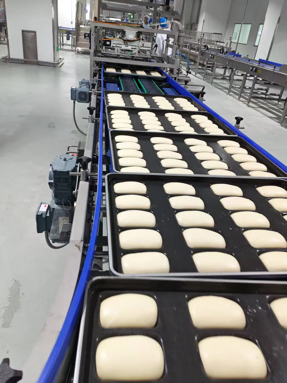 Horizontal Belt Conveyor Production Line with Vibrating Feeder for Uniform Distribution on Belt