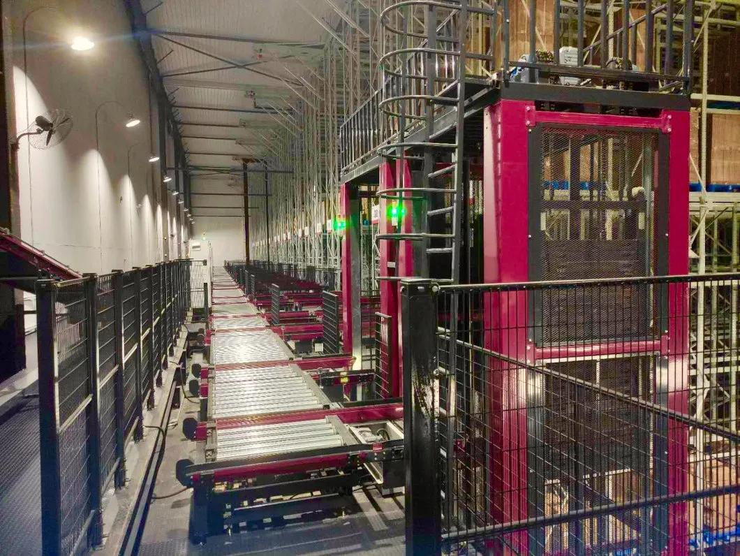 Smart Carton Handling Solution for Efficient Warehouse Management