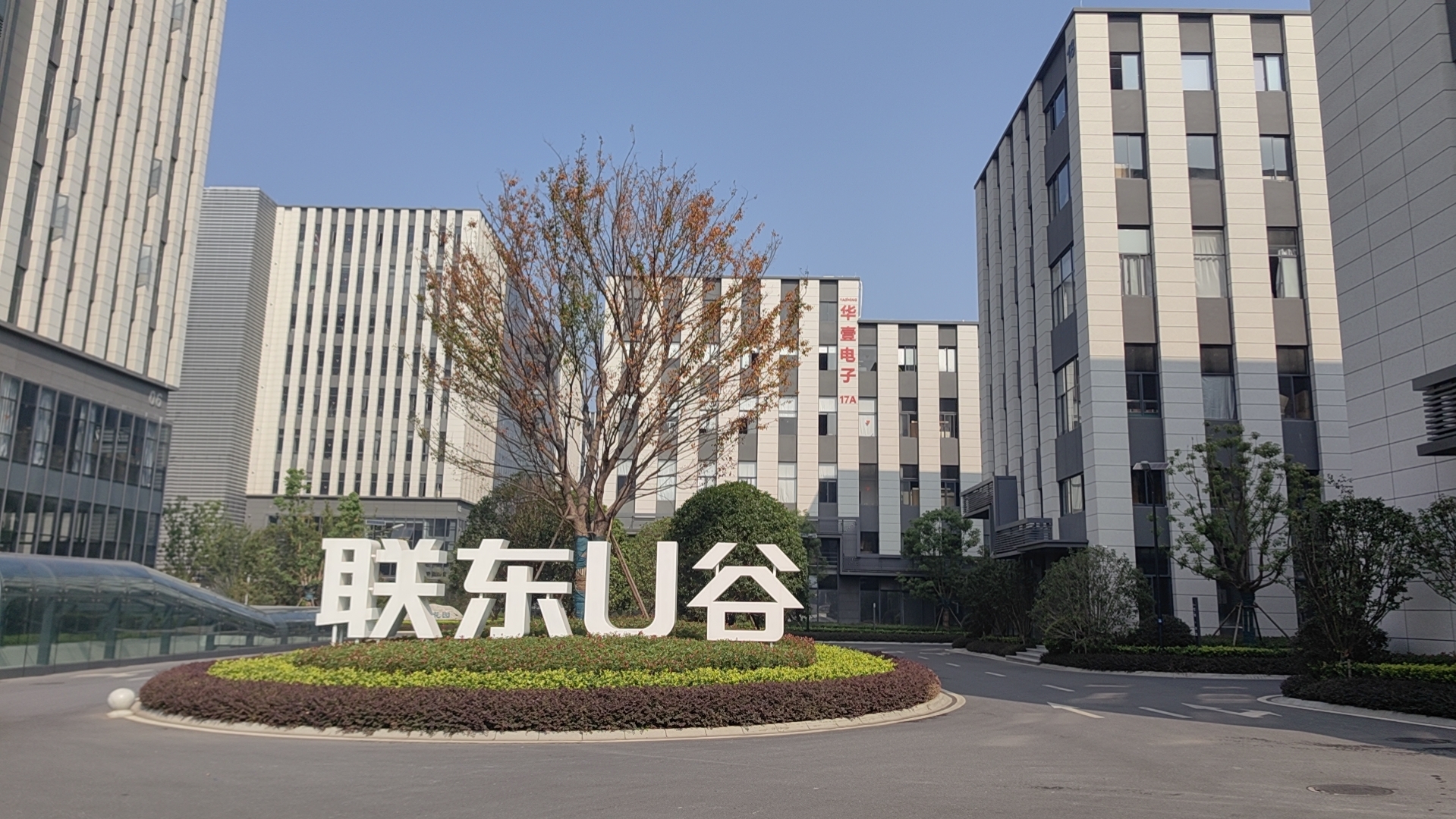 Company Profile