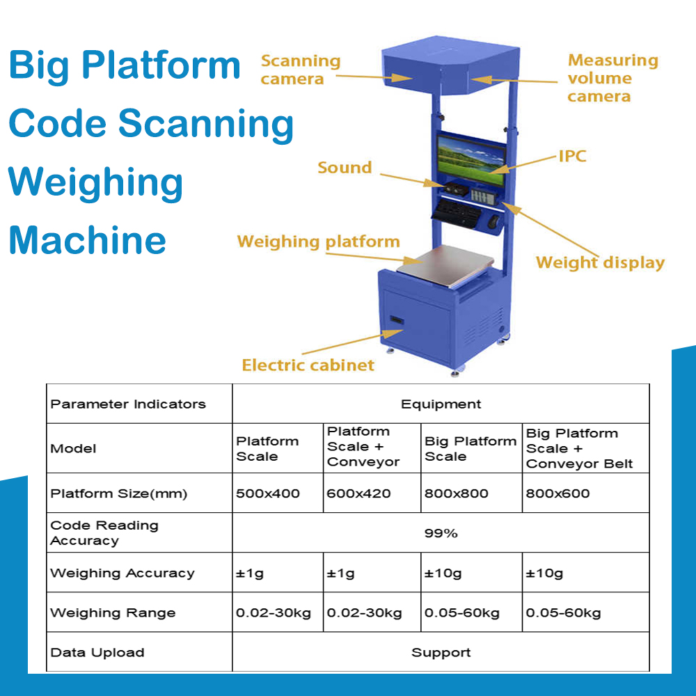 Conveyor Belt Production Line In-Motion Dimension Weigh Scan Machine Corn Screw Conveyor Parcel Sorting System with Dws