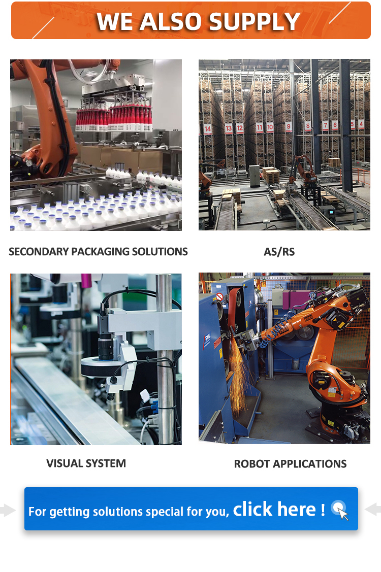 Automated Parcel Sorting System Close-up