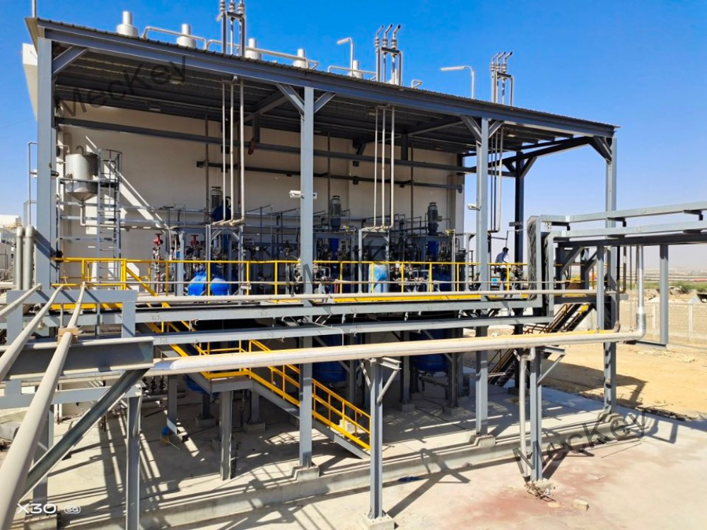 Premium Sorbitol Production Line for Global Distribution Needs