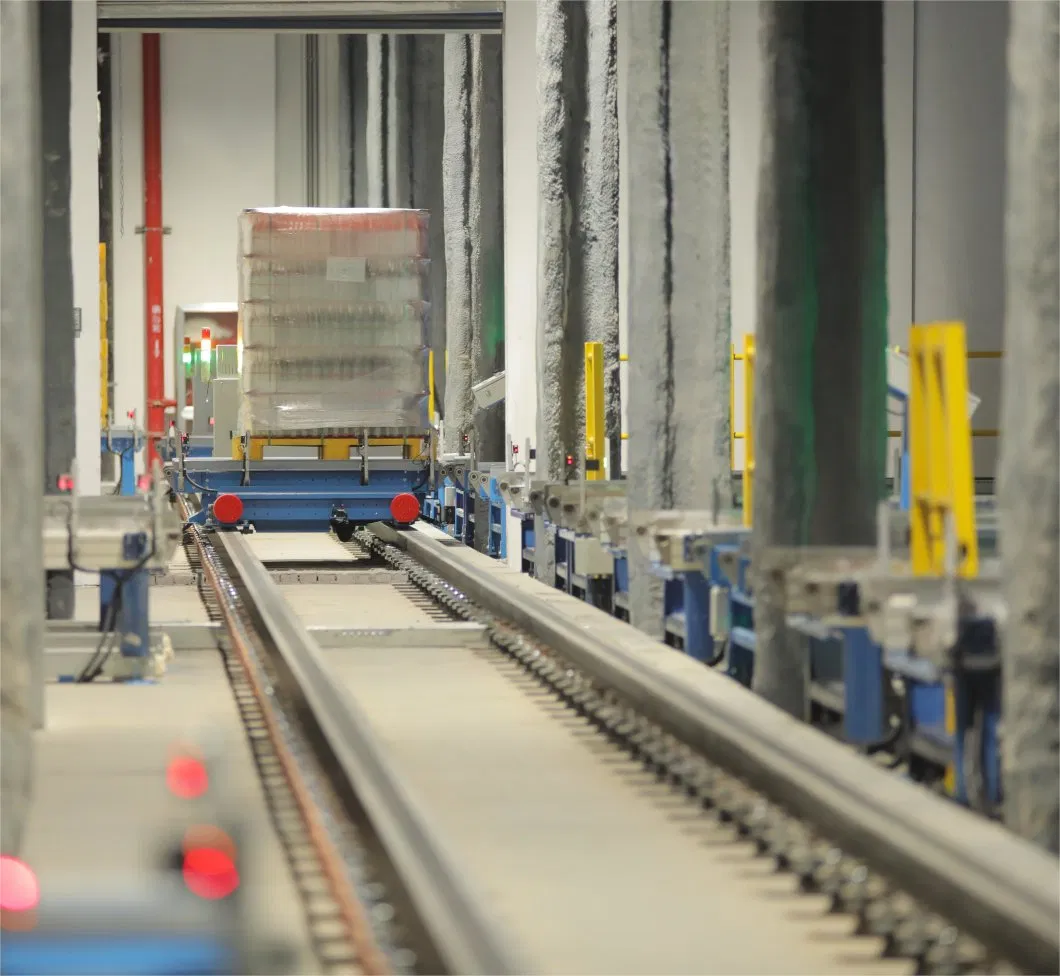 Heavy-Duty Roller Conveyor System for Efficient Rgv Operations