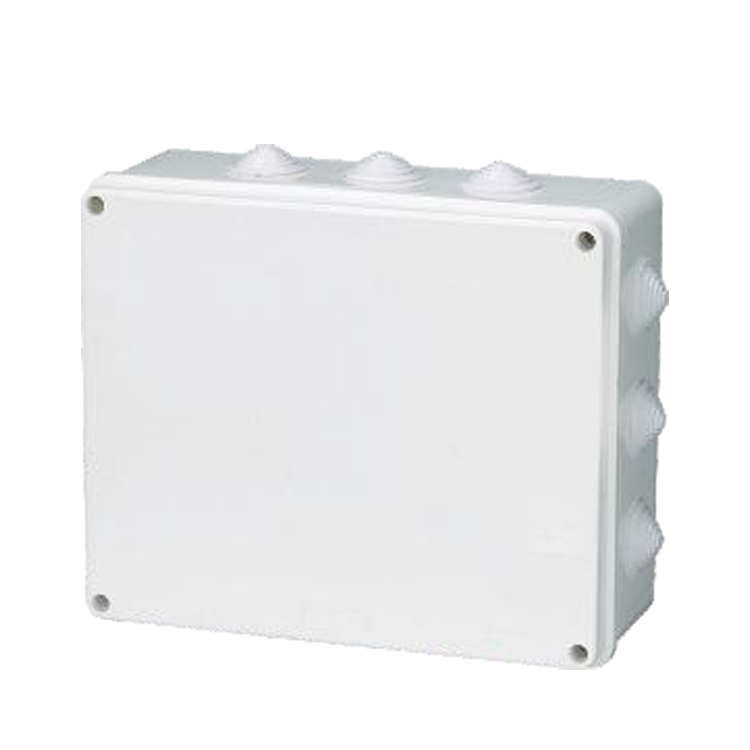Related Product