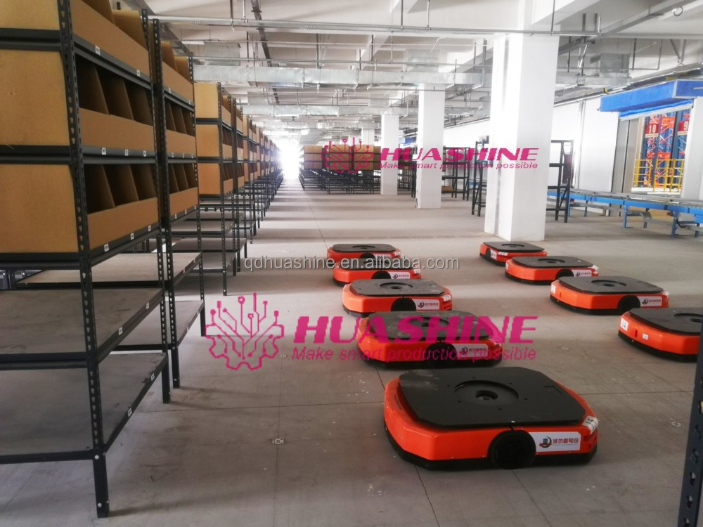 ASRS with RGV Shuttle System
